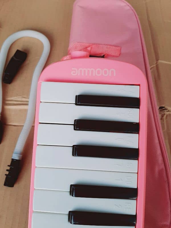 Melodica 32 keys boxpack 1