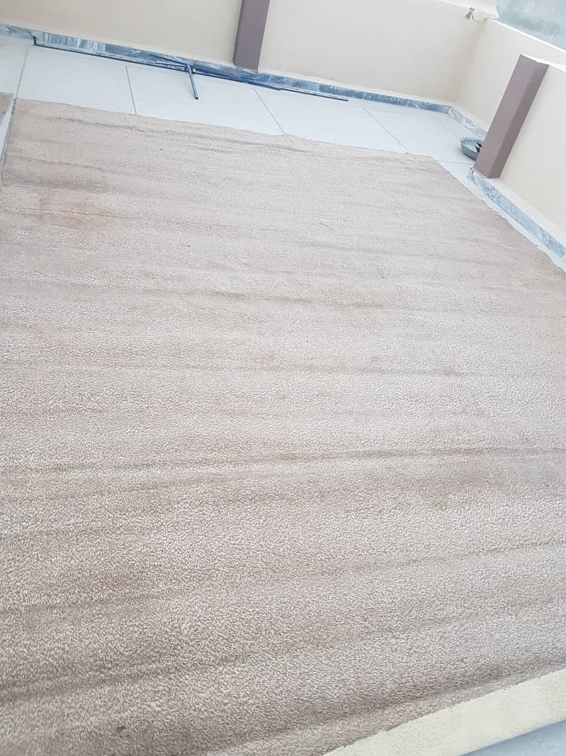 Brand New Brown Carpet 1