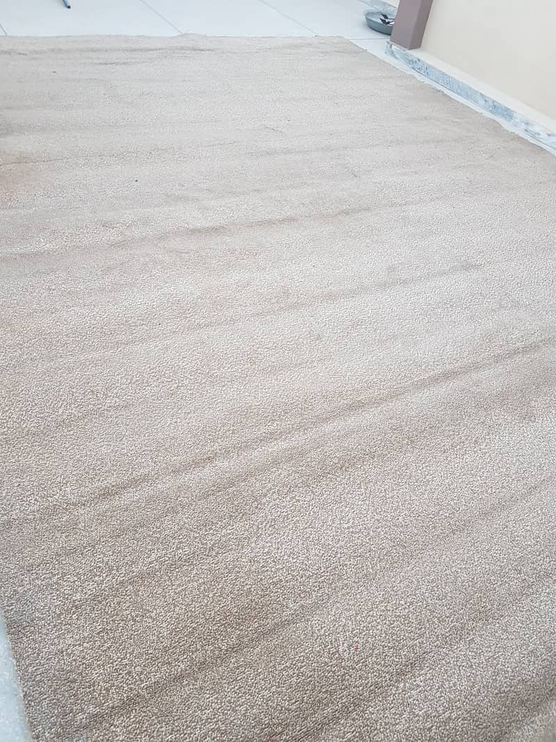 Brand New Brown Carpet 2