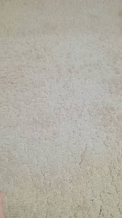 used carpet