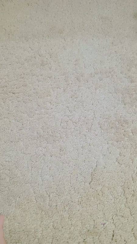 used carpet 0