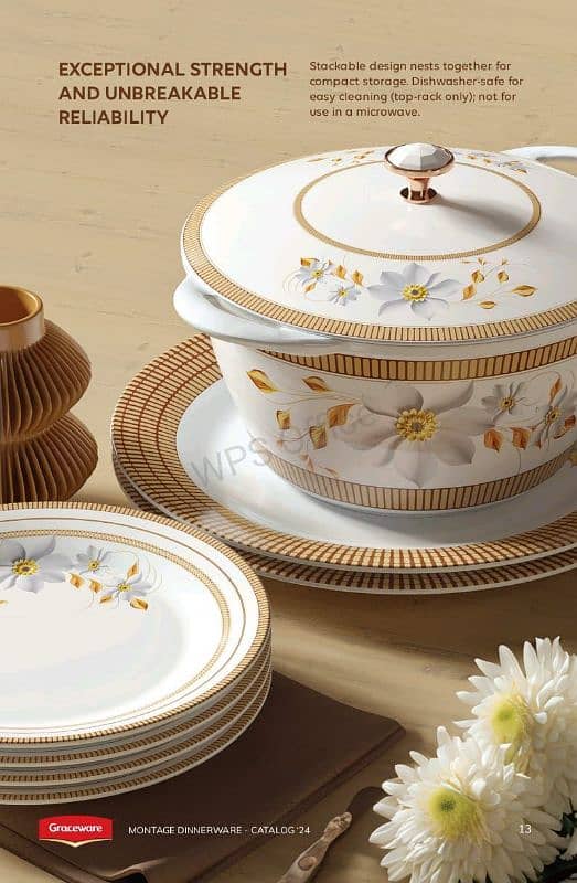 Melamine Plastic dinner set 1