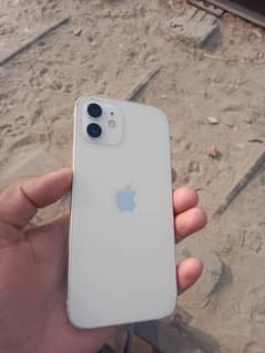 iphone 12 waterpack 10/10 64gb non pta wtsap and call nmbr 03177745121