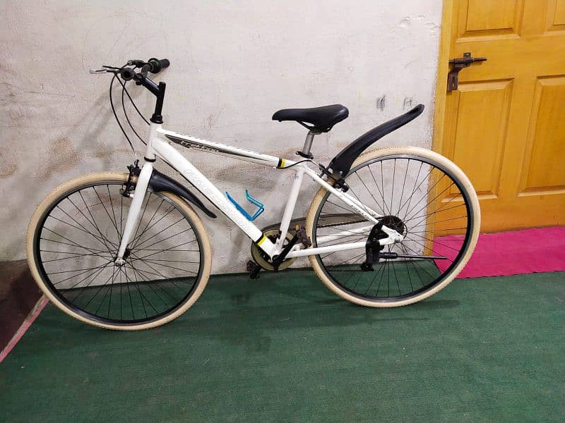 Precision Hybrid Bicycle 4