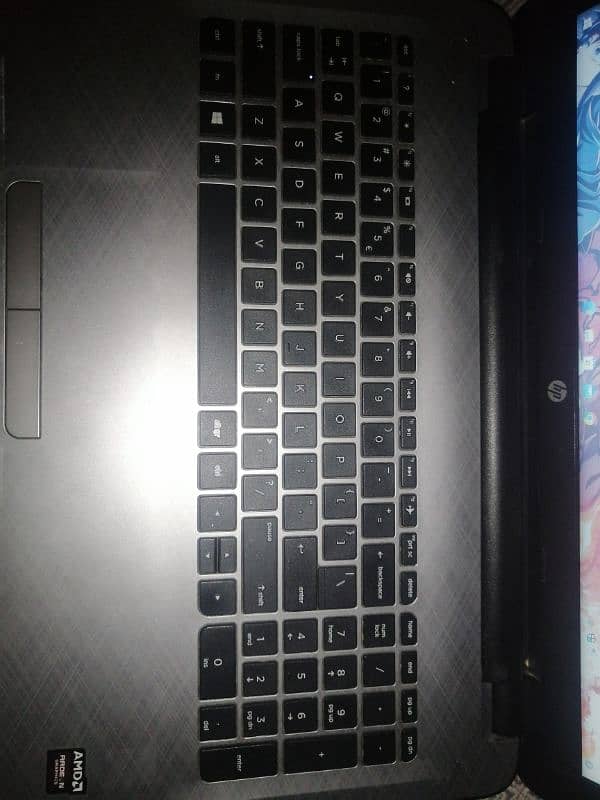 Cheap HP Notebook for Urgent Sale 3