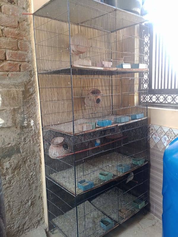 parrot 8 portions cage only 3 months used 0