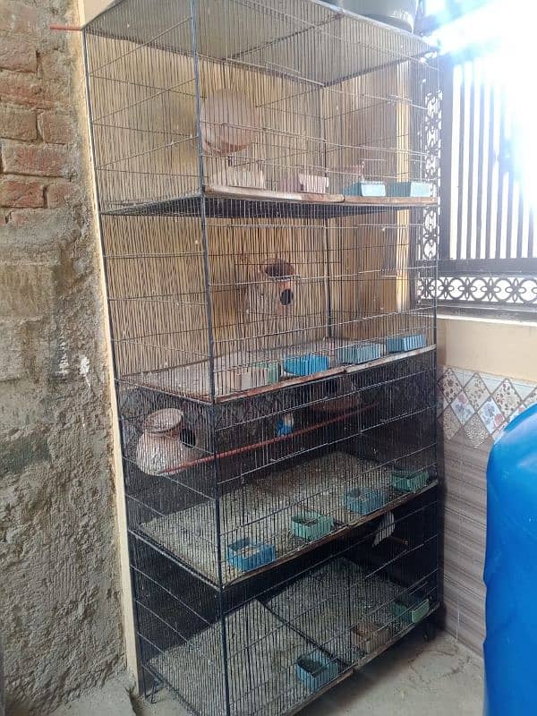 parrot 8 portions cage only 3 months used 1