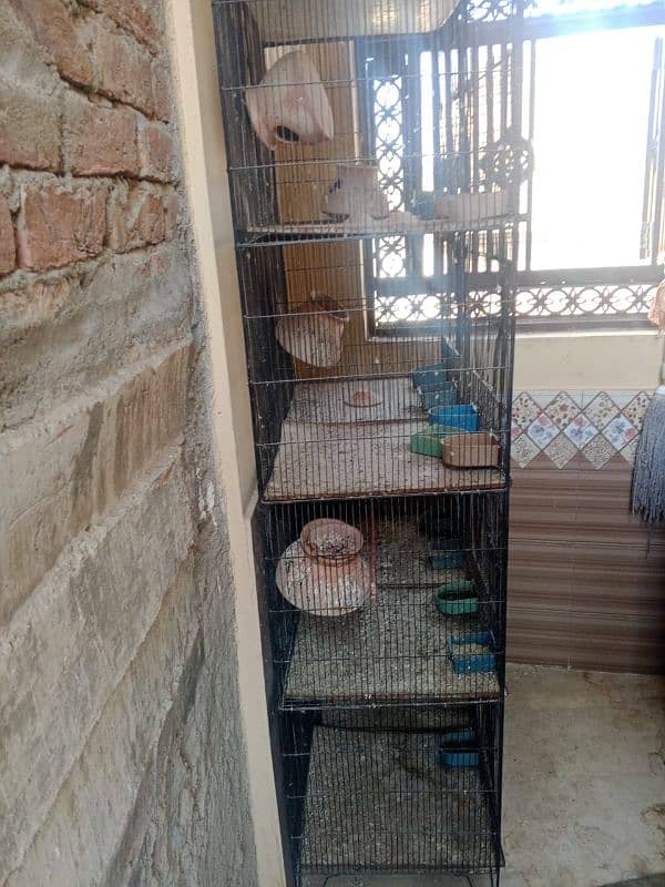 parrot 8 portions cage only 3 months used 2