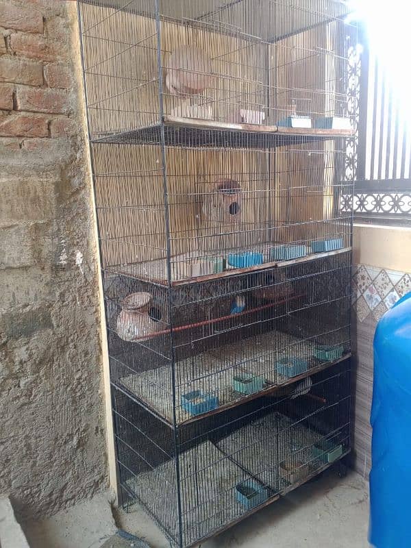 parrot 8 portions cage only 3 months used 3