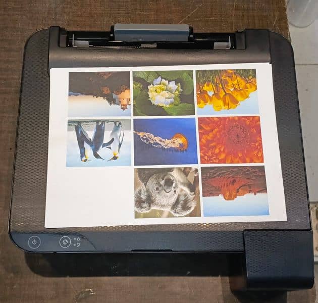 Epson Inkjet Printer L1110 4