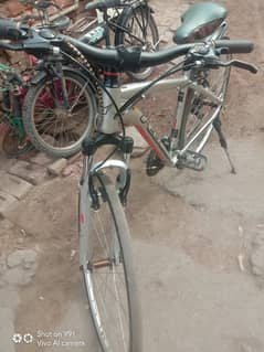 imported cycle