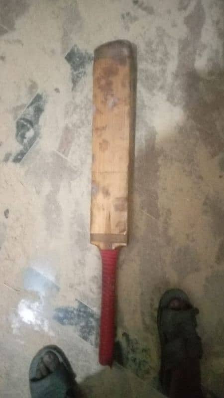 hard bowl bat 1