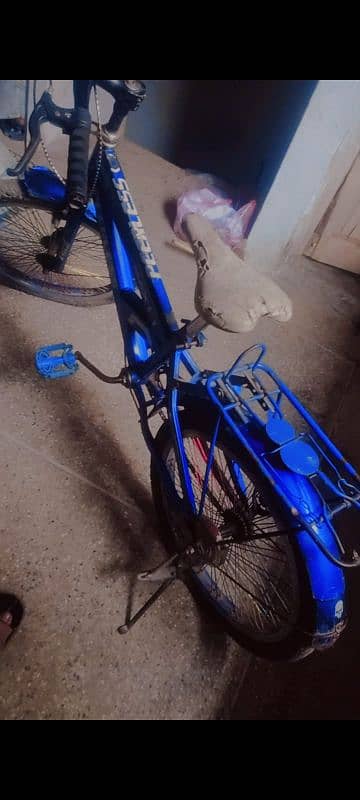 Chinese bicycle 0