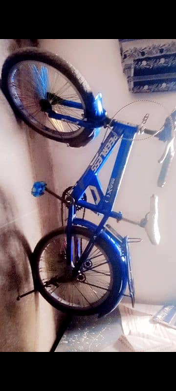 Chinese bicycle 2