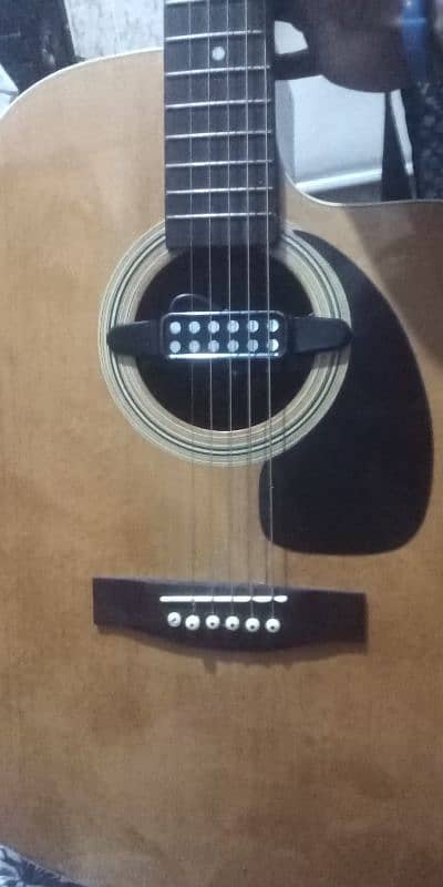 irin emported gitaur pickup 1