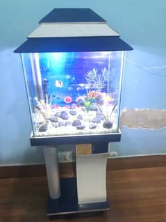 Fish Aquarium