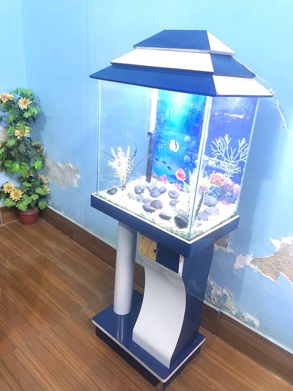 Fish Aquarium 2