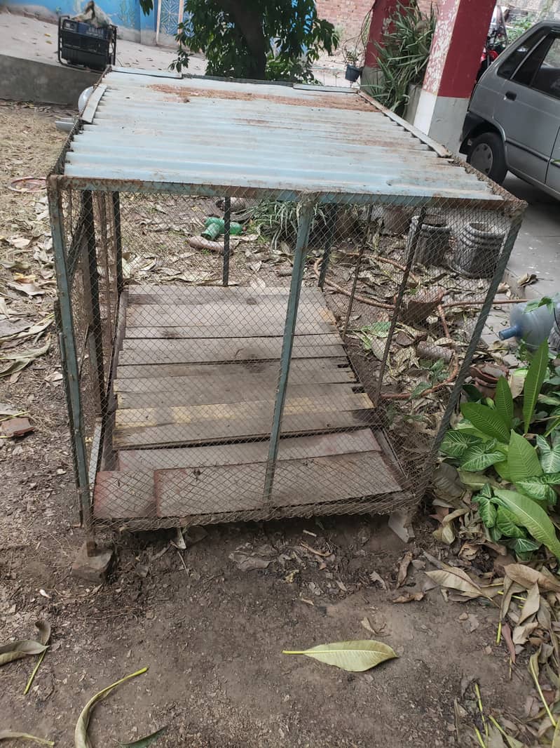 Cage for sale in good condition 1