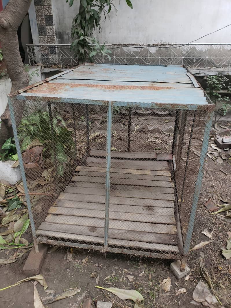 Cage for sale in good condition 4