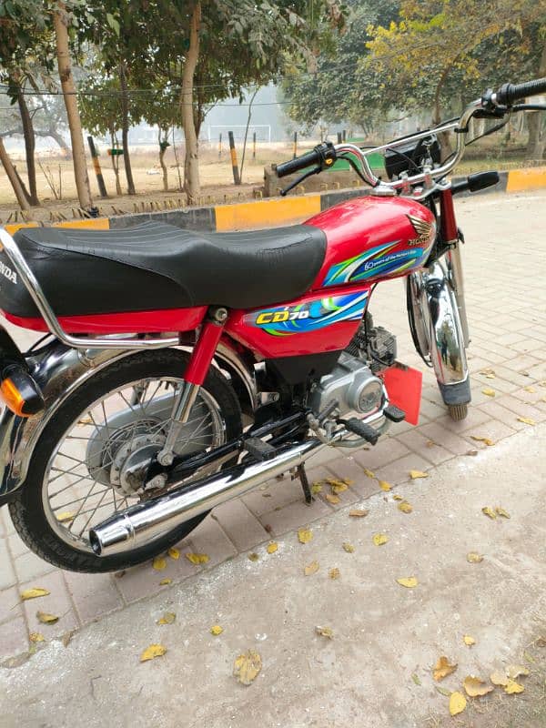 Honda CD 70 2024/23 2