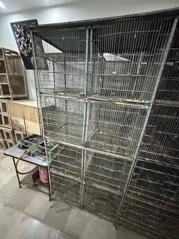 Bird Cage 3