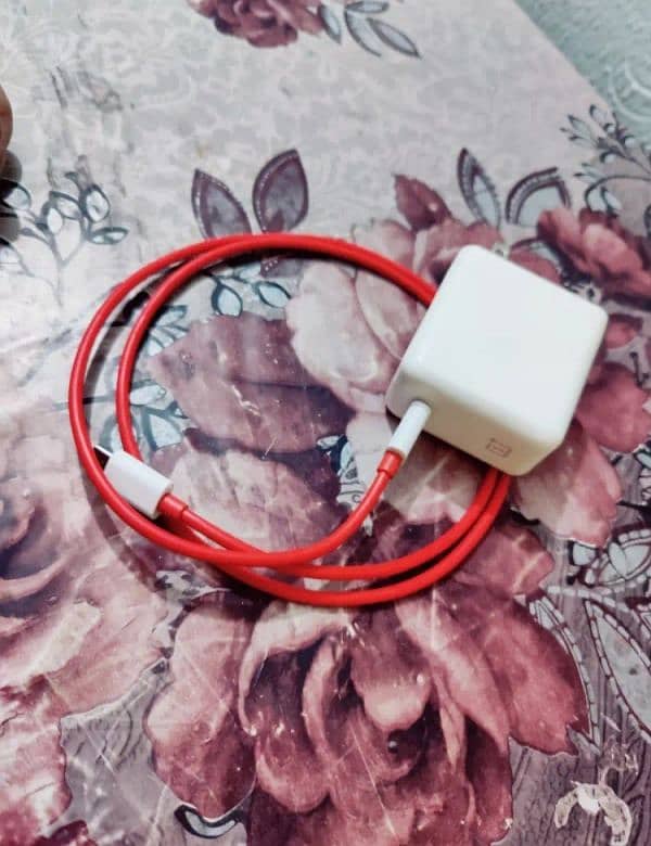 Original OnePlus Wrap Charger 65W 1