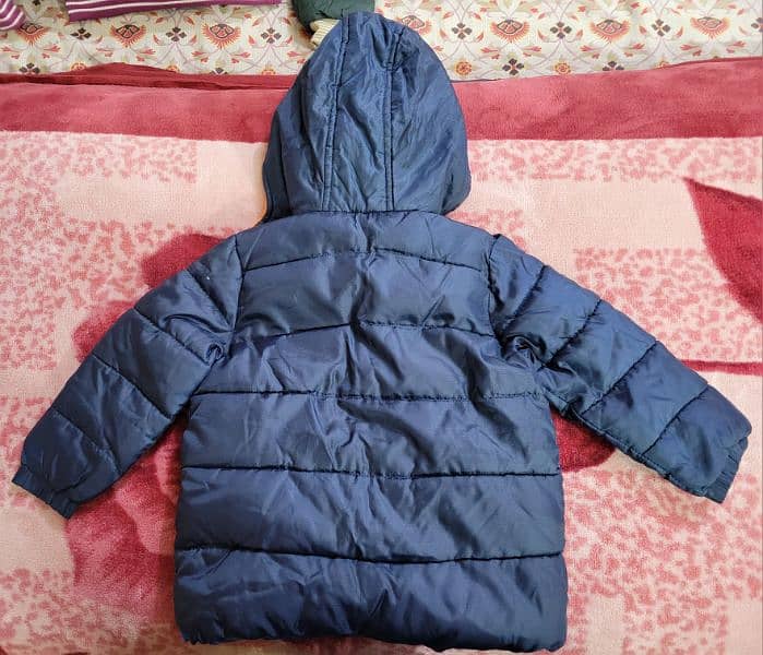 baby branded jackets for sale 5