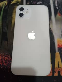 Iphone 12 best condition