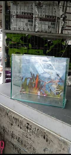 1 ft by ft Brand New Fish Aquarium