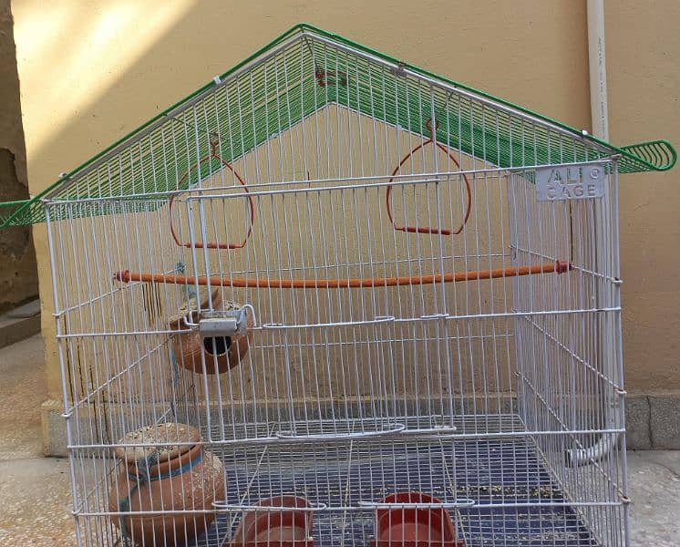 bird cage 1