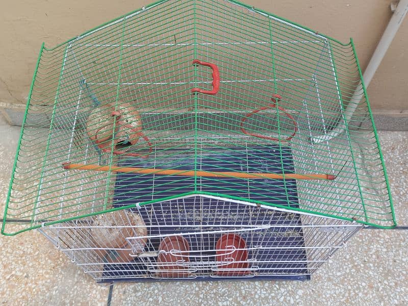 bird cage 2