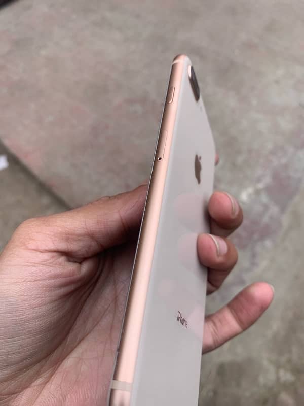 iPhone 8 Plus 10/10 condition for sale 64 gb PTA approved 2