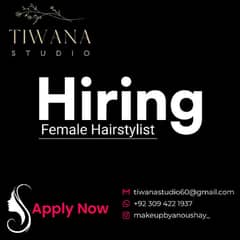 hair stylist for female saloon