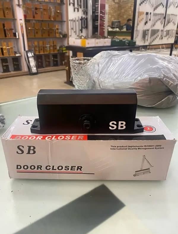 imported door closer 1