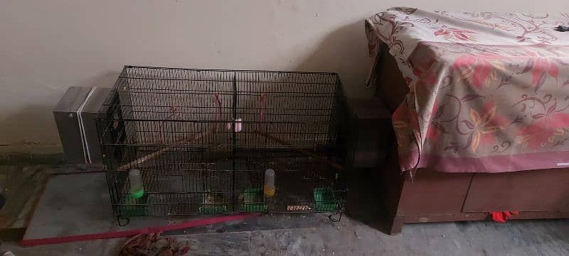 Bird cage 0