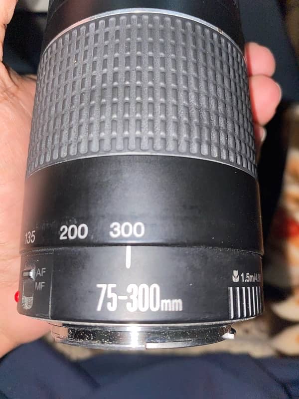 canon EF 75-300mm f/4-5.6 III 4