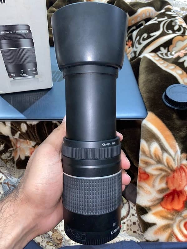 canon EF 75-300mm f/4-5.6 III 5