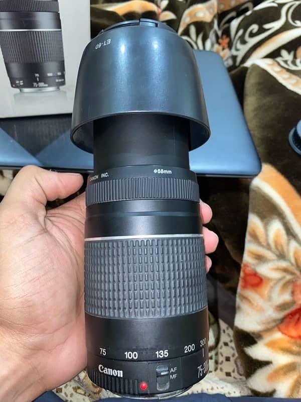 canon EF 75-300mm f/4-5.6 III 6