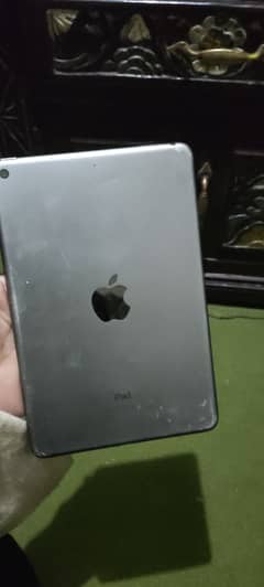 iPad mini 5