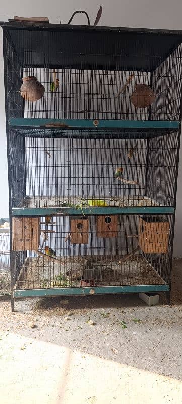 3 poration flight cage 1