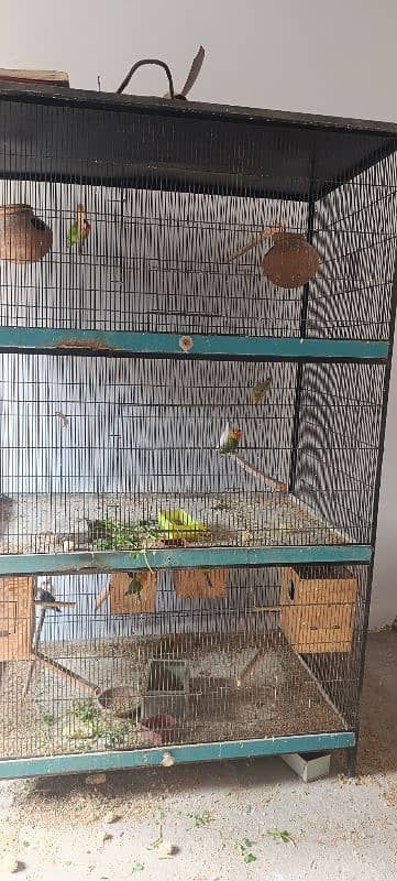 3 poration flight cage 2