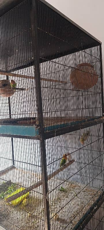 3 poration flight cage 3