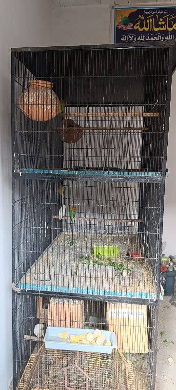 3 poration flight cage 4