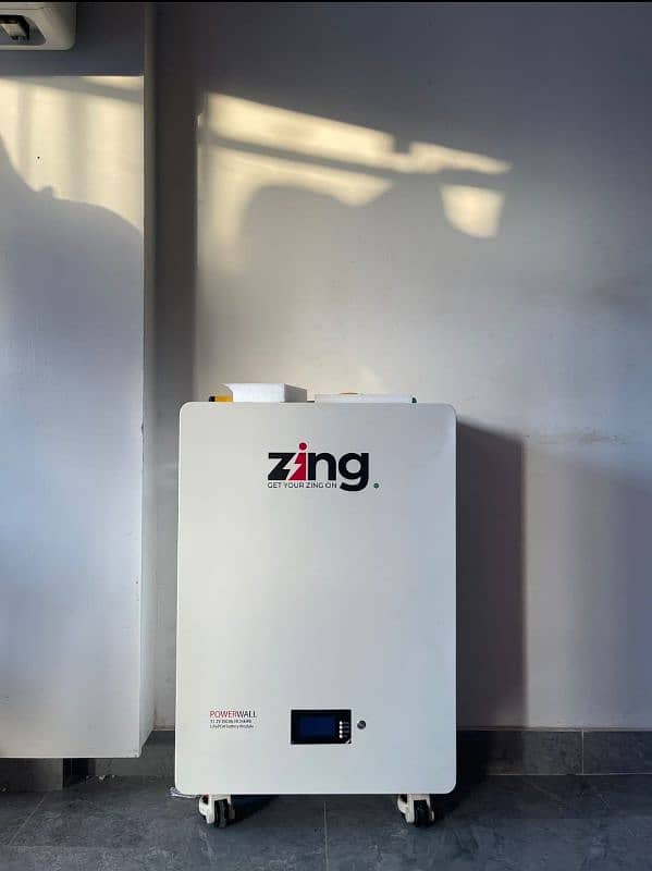 ZINGZING LITHIUM ION BATTERY 2