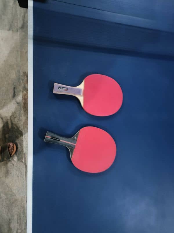 Table Tennis / Professional Table / With 3 Rackets 1