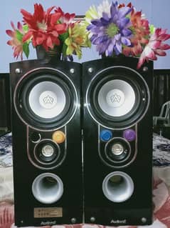 Audionic Speakers