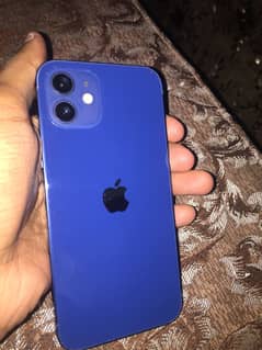 iPhone 12 non pta 64 gb