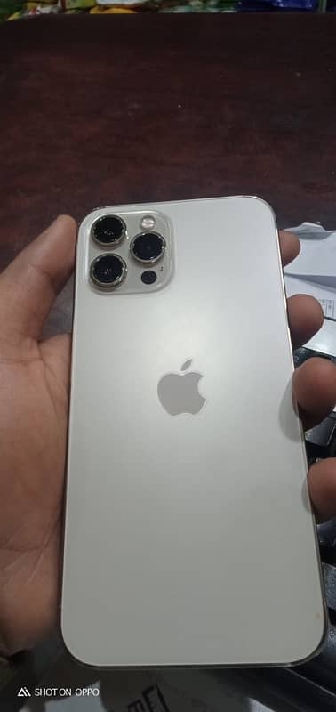 IPHONE 12 PRO MAX NON PTA 2