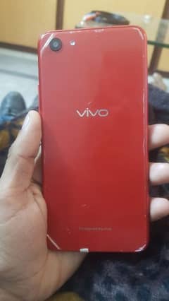 vivo