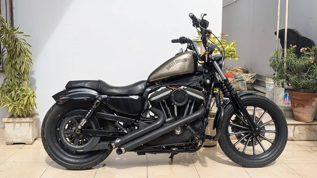 Harley davidson Iron 883 (2011) MODEL  | Harley in bikes | Iron 883 0